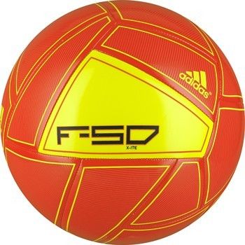 ssfla10.jpg
